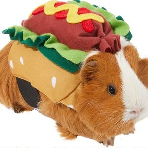 Thrills and chills Guinea pig hotdog costume. GUC